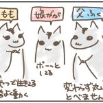 お久しぶりのモモンガさん